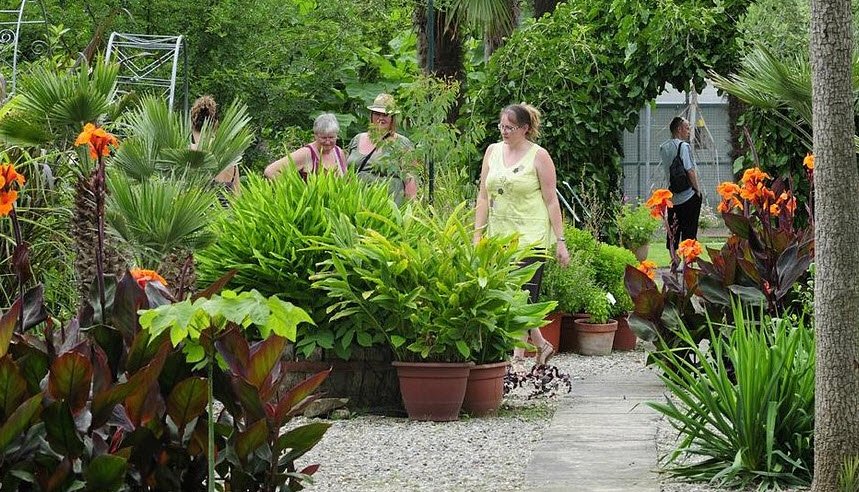Jardifort Jardinerie, Limoux, France, France